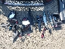 4T1B61HK3JU****** Salvage and Wrecked 2018 Toyota Camry in Northern Virginia