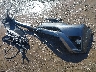 JTMRFREV7JD****** Destrozados 2018 Toyota RAV4 en Estado de Massachusetts