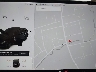 5YJYGDEE3LF****** Repairable 2020 Tesla Model Y