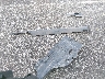 1C4PJMDX2LD****** Destrozados 2020 Jeep Cherokee en Estado de Indiana