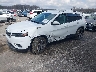 1C4PJMDX2LD****** Usados y Reparables 2020 Jeep Cherokee en Indianapolis South