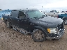 1FTFW1EVXAF****** Salvage and Wrecked 2010 Ford F-150 in Missoula