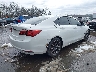 19UUB2F32HA****** Salvage and Wrecked 2017 Acura TLX in Maryland State