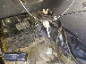 2T1BR32EX6C****** Salvamento 2006 Toyota Corolla en Estado de Luisiana