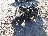 JYARN48Y1HA****** Salvage and Wrecked 2017 Yamaha FZ-10 in North Carolina State