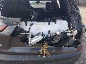 1C4PJLLB9LD****** Wrecked 2020 Jeep Cherokee in Louisiana State