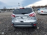 1FMCU9G94FU****** Destrozados 2015 Ford Escape