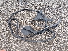 W1N0G8EB7MV****** Salvage 2021 Mercedes-Benz Glc 300 in Kentucky State