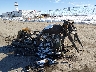 1HD1KBC12JB****** Salvage and Wrecked 2018 Harley-Davidson FLHXS in Des Moines