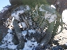 1HD1KBC12JB****** Wrecked 2018 Harley-Davidson FLHXS in Des Moines