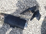 JKBZXJJ18SA****** Wrecked 2025 Kawasaki Ninja ZX-6R in California State