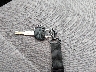 2HGEJ6671WH****** Salvamento 1998 Honda Civic en Estado de Kentucky
