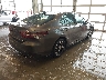 4T1F11BKXPU****** Salvage and Wrecked 2023 Toyota Camry in Illinois State