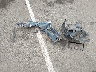 2HGES26714H****** Destrozados 2004 Honda Civic en Estado de California