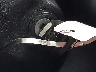 4T1BF1FKXCU****** Salvage 2012 Toyota Camry in Illinois State