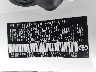 5YFEPMAEXMP****** Used 2021 Toyota Corolla in Metro DC