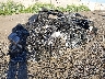 ZHWUC1ZD5FL****** Salvage and Wrecked 2015 Lamborghini Aventador in Arizona State
