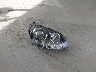 WVWEV71K38W****** Wrecked 2008 Volkswagen Golf GTI in Florida State
