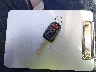 19XFB2F54FE****** Salvamento 2015 Honda Civic en Estado de California