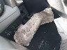 JTMZFREV4EJ****** Repairable 2014 Toyota RAV4