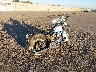 1HD1JD5177Y****** Salvage and Wrecked 2007 Harley-Davidson Softail Deluxe in Arizona State