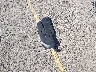 WBA4J1C5XKB****** Wrecked 2019 BMW 4 Series in Colorado State