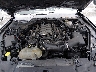 1FA6P8CF1J5****** Repairable 2018 Ford Mustang in Chicago North