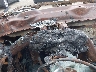 1GNSCHKCXFR****** Salvamento 2015 Chevrolet Suburban 1500 en Chicago South