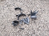 1N4BL4DV2PN****** Wrecked 2023 Nissan Altima in Tennessee State