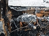 KNDP63AC6M7****** Salvage 2021 Kia Sportage in Lexington