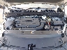 LRBFZNR47PD****** Reparables 2023 Buick Envision en Clearwater