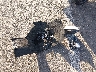 WAUCGAFH0EN****** Destrozados 2014 Audi S5 en Estado de Mississippi