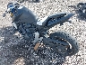 ZDCSC6014CF****** Used 2012 Honda CB1000R