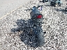 ZDCSC6014CF****** Salvage and Repairable 2012 Honda CB1000R in Utah State