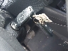 1G1BE5SM1G7****** Salvage 2016 Chevrolet Cruze in Indiana State