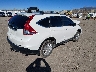 5J6RM4H75DL****** Salvage and Wrecked 2013 Honda CR-V in Colorado State