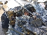 1FTEW1CG3FF****** Reparables 2015 Ford F-150 en Estado de Texas