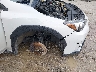 JF2GTACC5K8****** Salvamento y Reparables 2019 Subaru Crosstrek en Estado de Kentucky