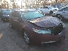 19UUA86209A****** Salvamento y Destrozados 2009 Acura TL en Long Island