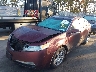 19UUA86209A****** Usados y Reparables 2009 Acura TL en Long Island