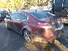 19UUA86209A****** Salvamento y Reparables 2009 Acura TL en Long Island