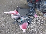 JH2PC40079K****** Wrecked 2009 Honda CBR600RR in Tennessee State