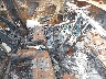 1G1ZD5ST5PF****** Used and Repairable 2023 Chevrolet Malibu in Texas State