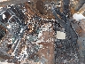 1G1ZD5ST5PF****** Wrecked 2023 Chevrolet Malibu in Houston