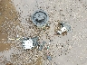 3GTU2WEJ7FG****** Wrecked 2015 GMC Sierra 1500 in Indiana State