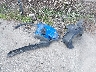 3N1CP5BV0RL****** Wrecked 2024 Nissan Kicks in Florida State