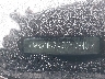 WBANF73587C****** Wrecked 2007 BMW 5 Series in New York State