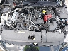 3N1AB8BV2RY****** Repairable 2024 Nissan Sentra in Orlando