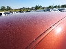 2C3CDZBT0NH****** Reparables 2022 Dodge Challenger