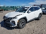 3KMJBCDE3SE****** Usados y Reparables 2025 Hyundai Tucson en Rochester